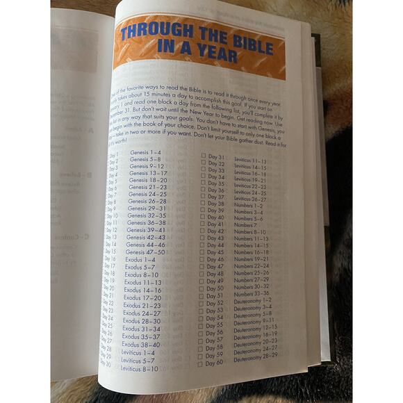 NIV Boys' Bible with studies by Zonderkidz (2011, Hardcover) READ - Picture 7 of 14